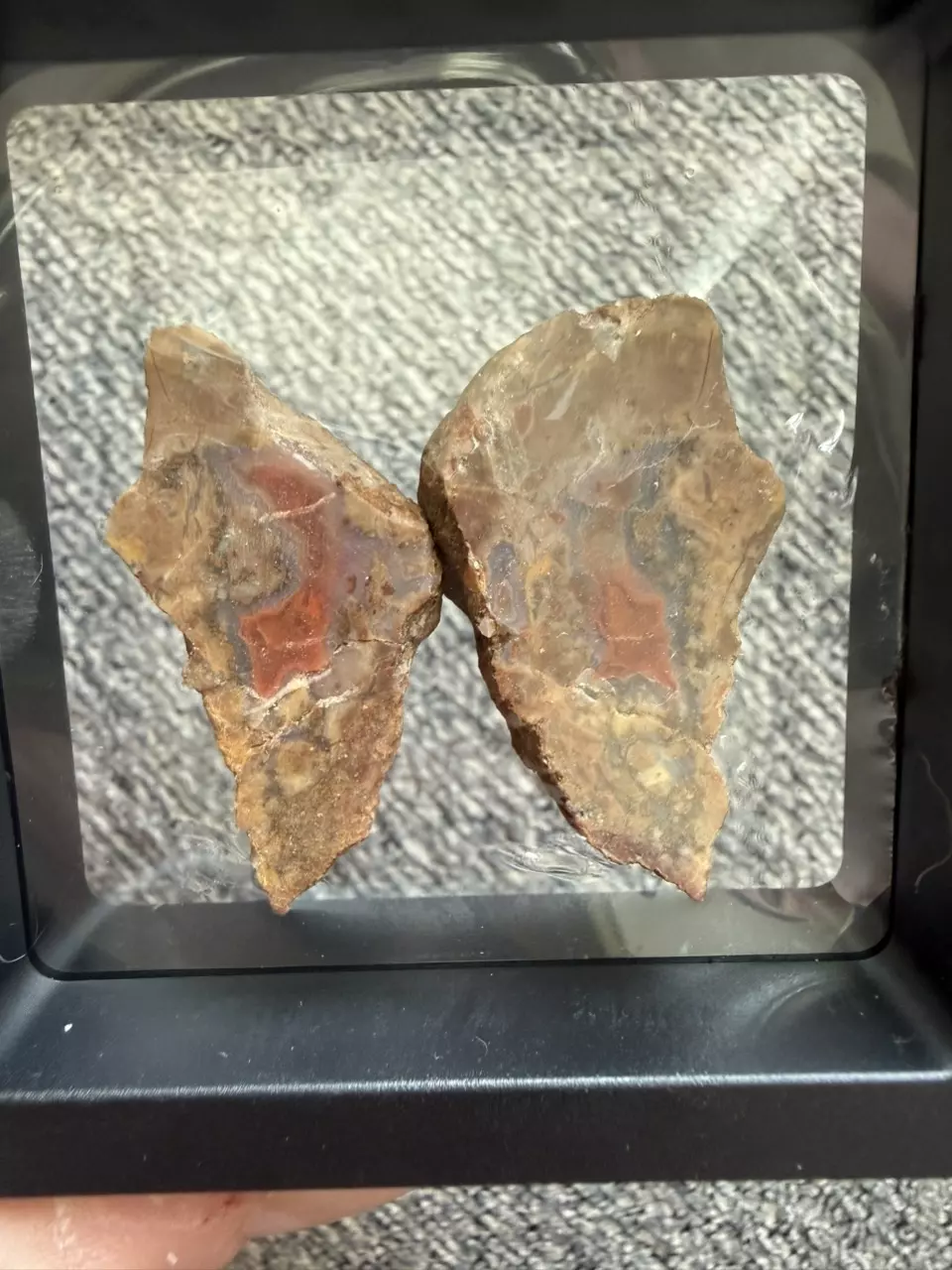 Cut agate pair - unpolished thumbnail