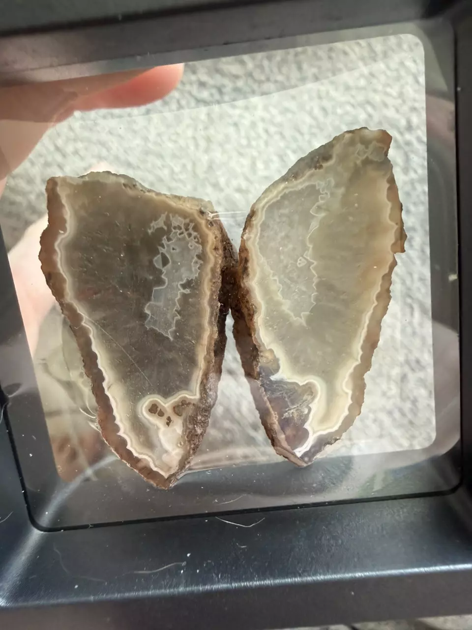 Cut agate pair - unpolished thumbnail