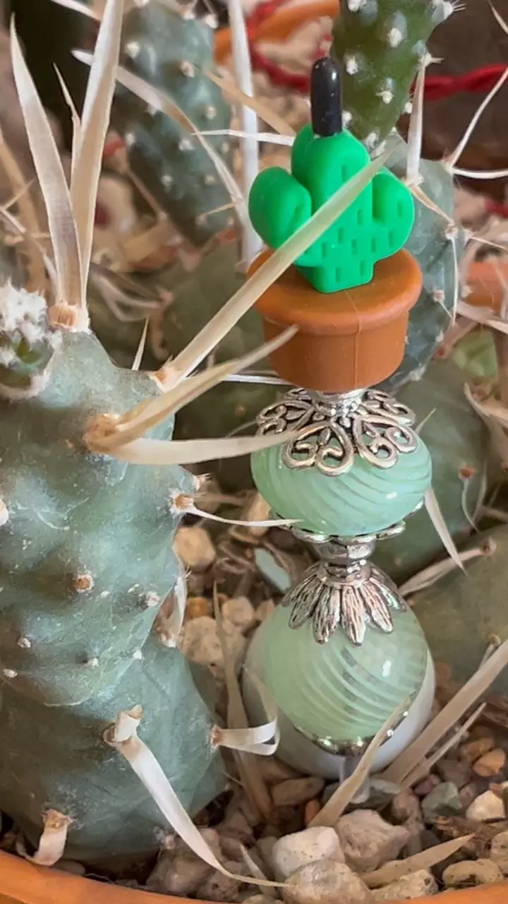 PBP 981 Pot be Priti (plant stake, pot pal) thumbnail