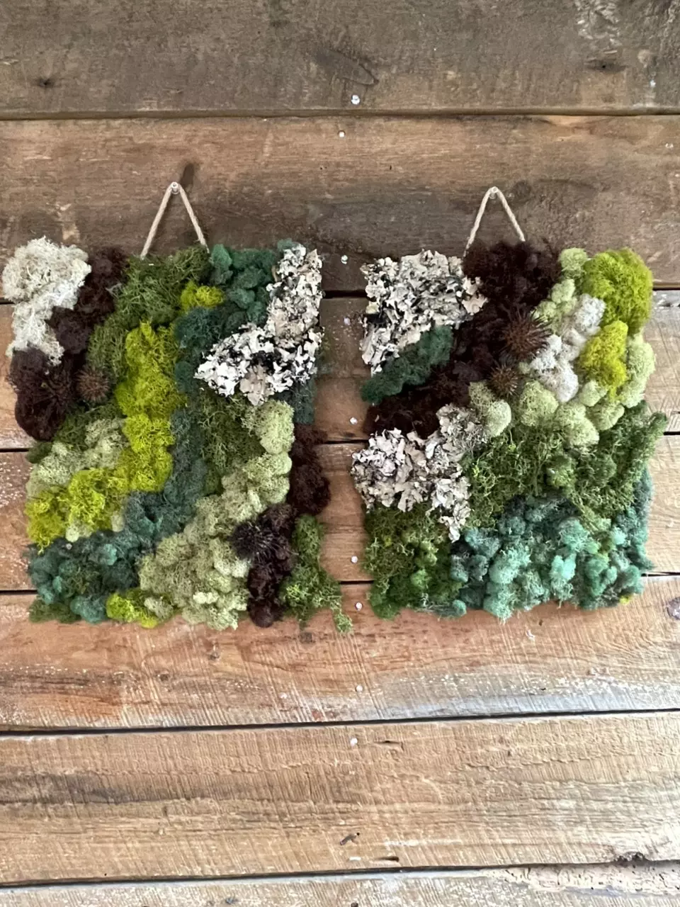 Moss Art thumbnail