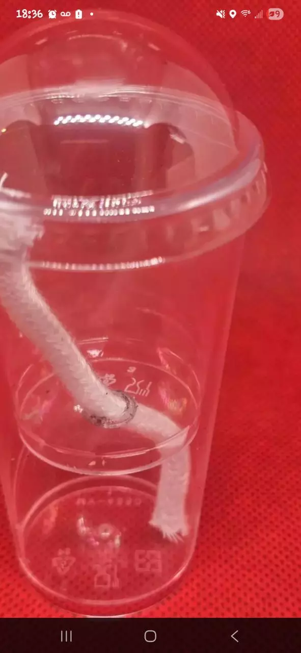 Single Self Watering Corm Cup thumbnail