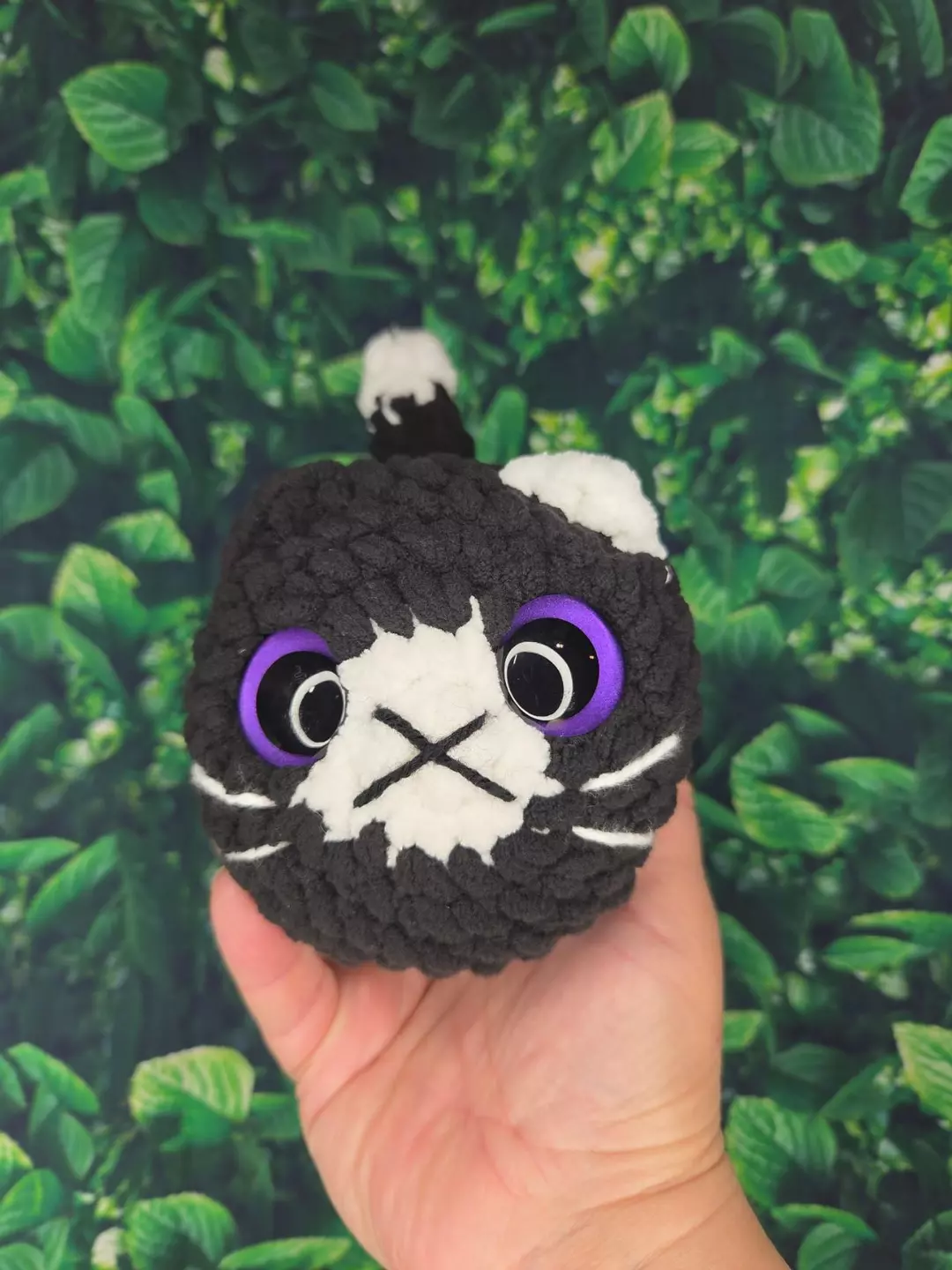 Black and white cat purple eyes thumbnail