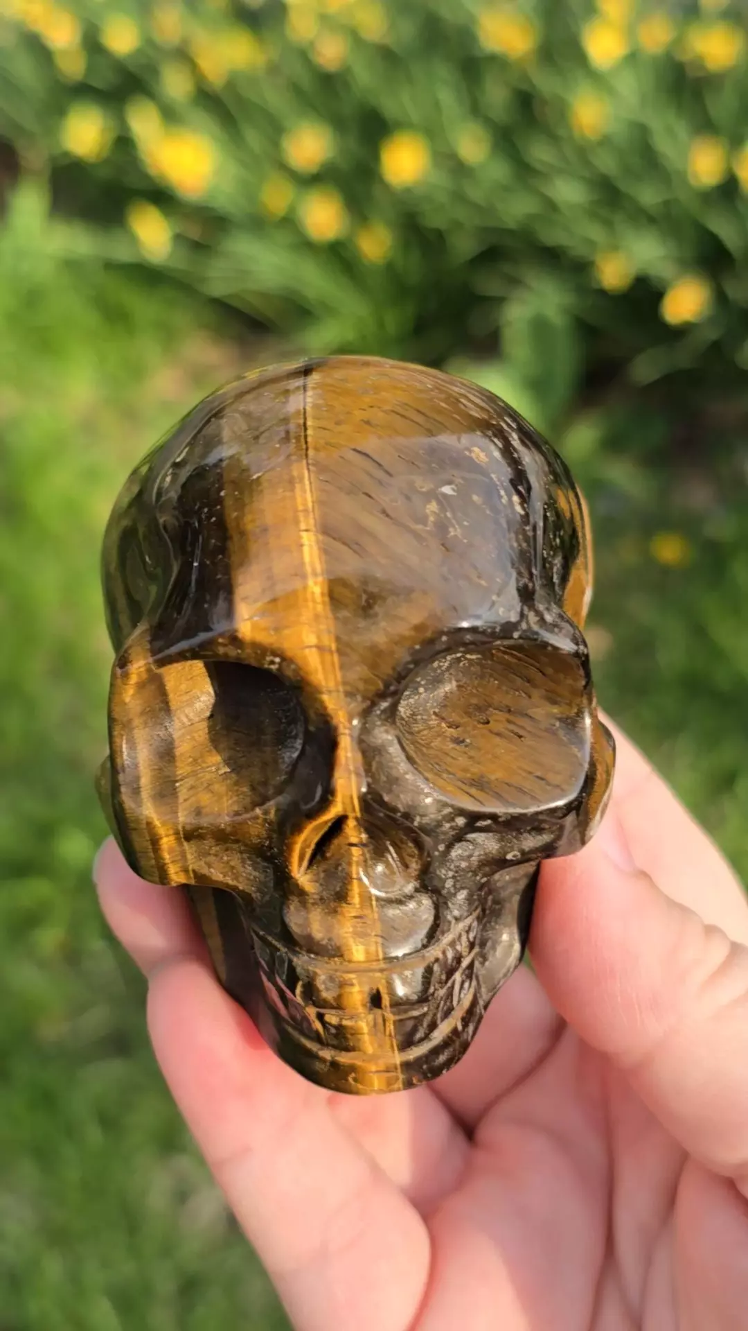 Tiger Eye Skull thumbnail