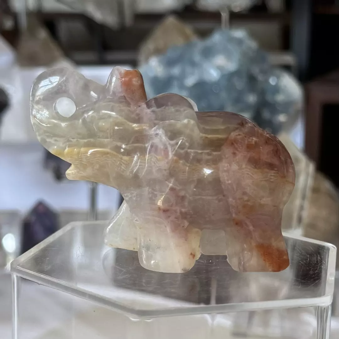 Amethyst Elephant - Too Cute thumbnail