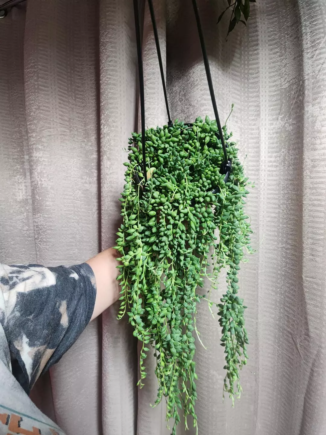 String of tear drops basket thumbnail