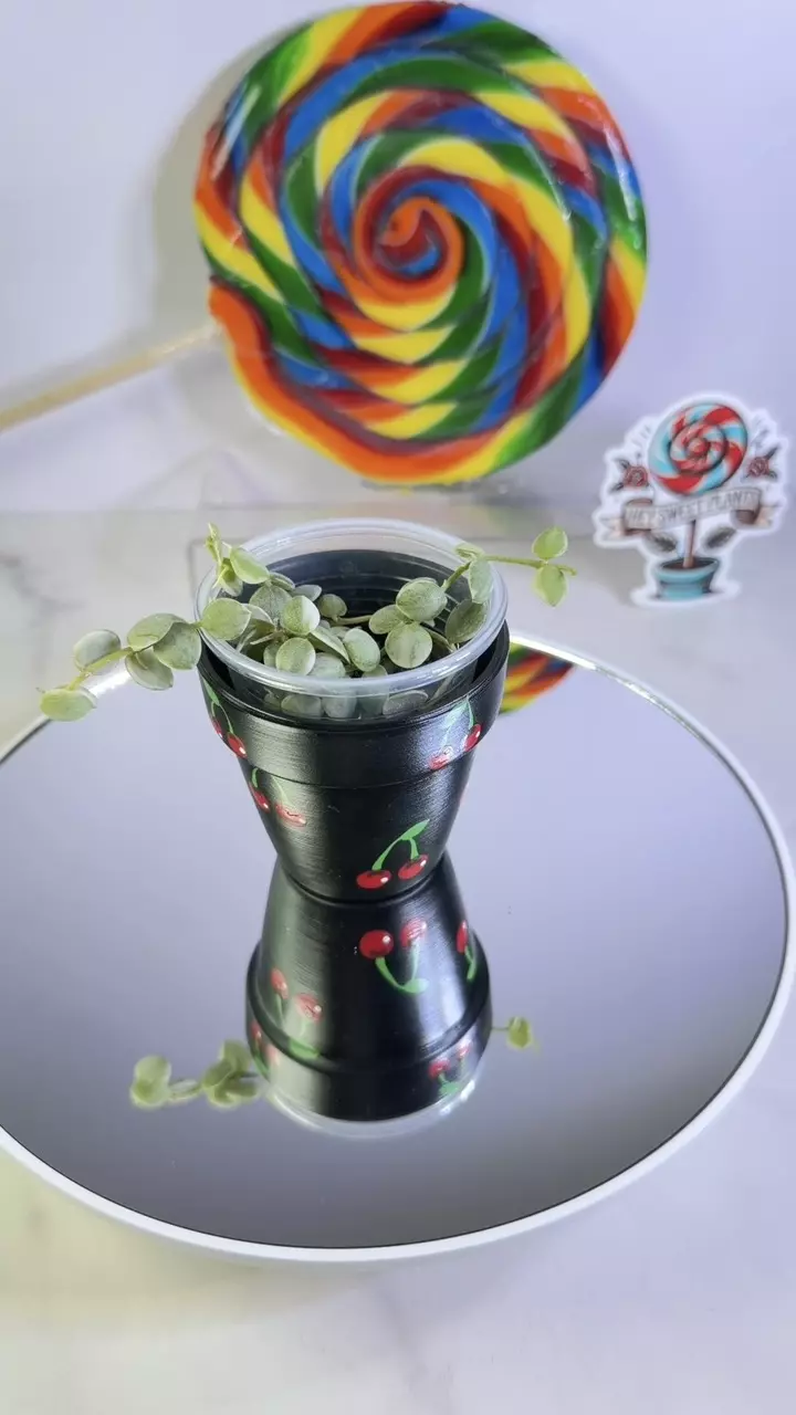 Dischidia Nummalaria variegated thumbnail