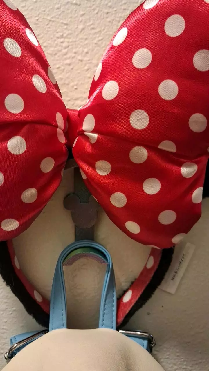 Micky Ear and Bag Holder thumbnail