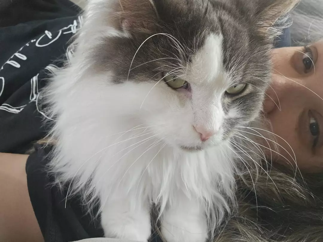 Reserved Custom bundle thumbnail