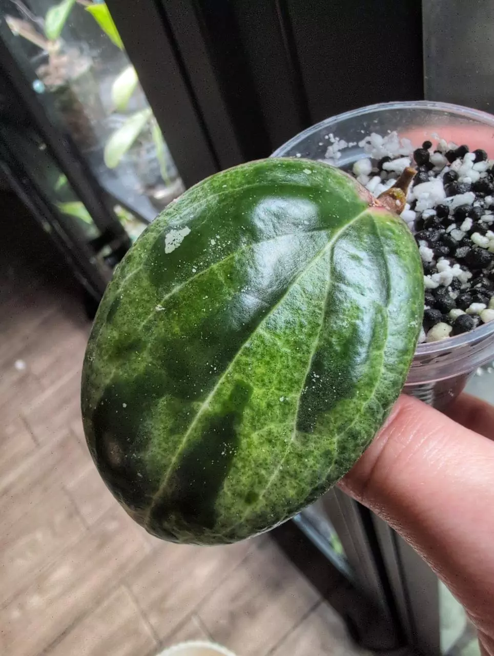 Swiffer's 'Mirage' thumbnail