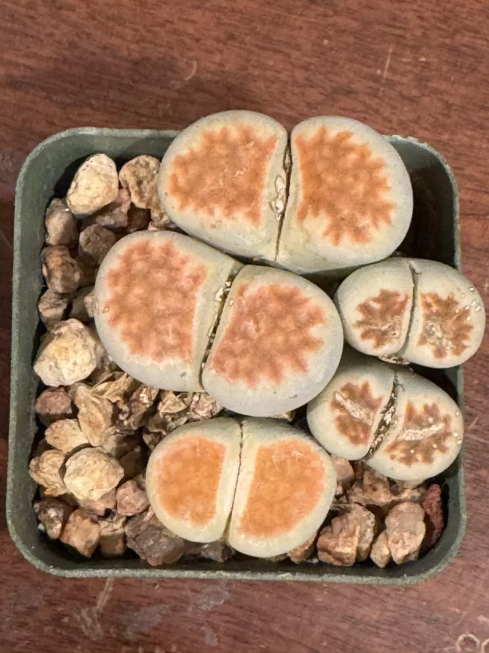 Split Rocks thumbnail