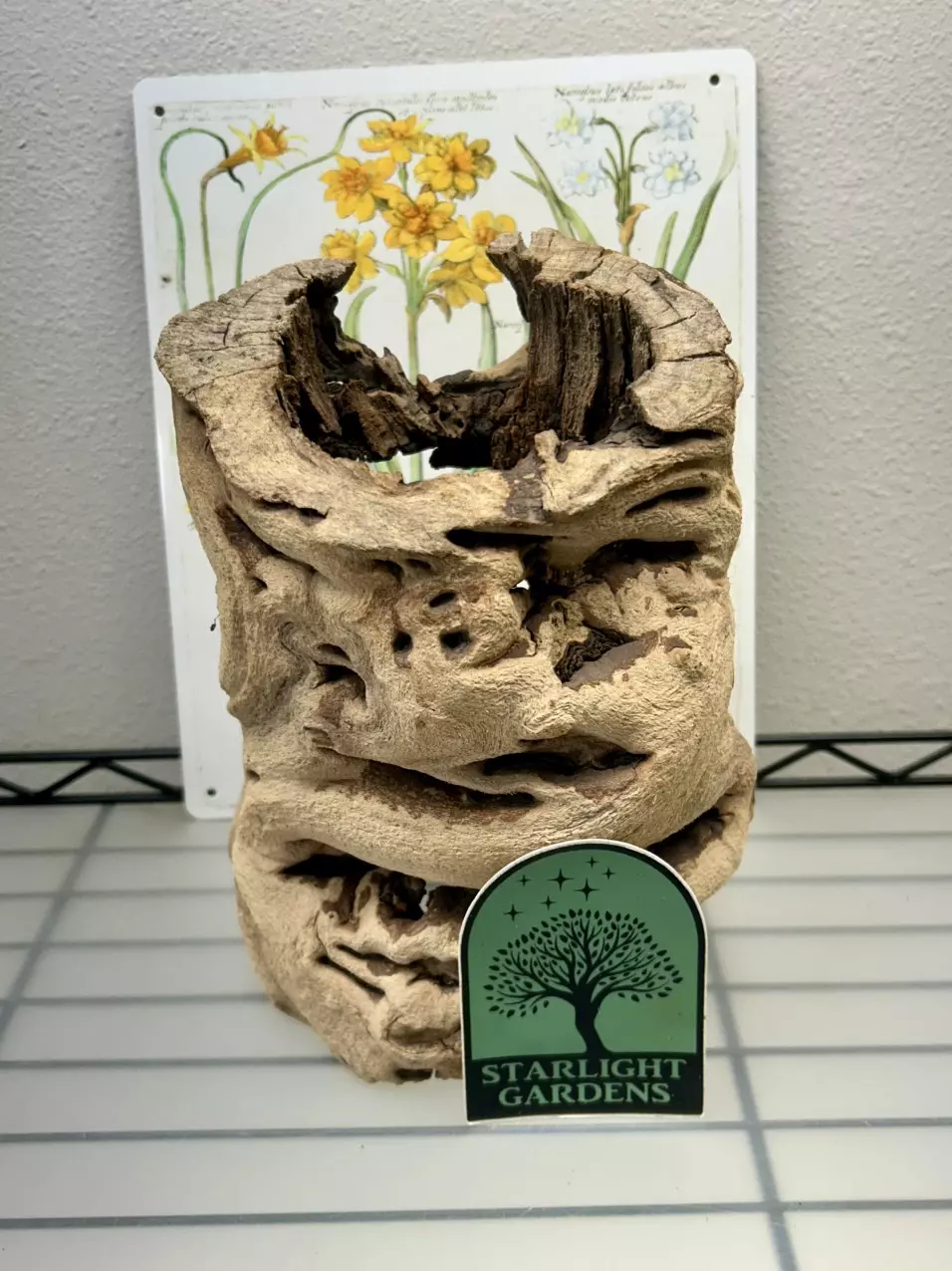 Grapewood (Large) thumbnail