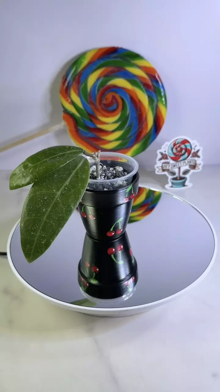 Hoya EBW 01 Starry Skies thumbnail