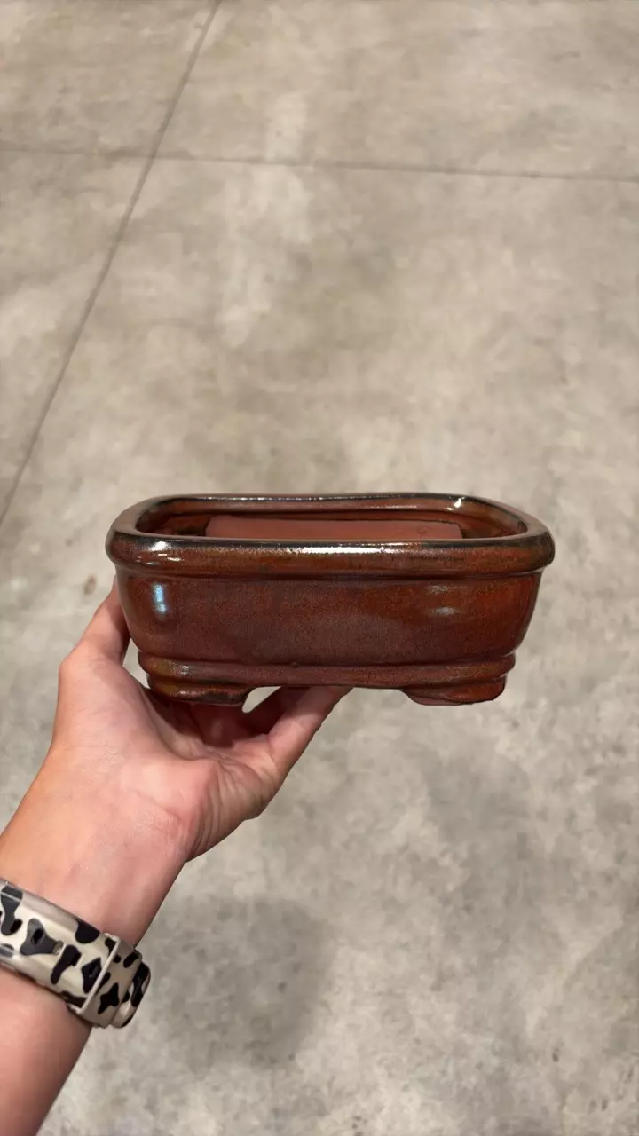 7″ – Glazed Bonsai Pots -A thumbnail