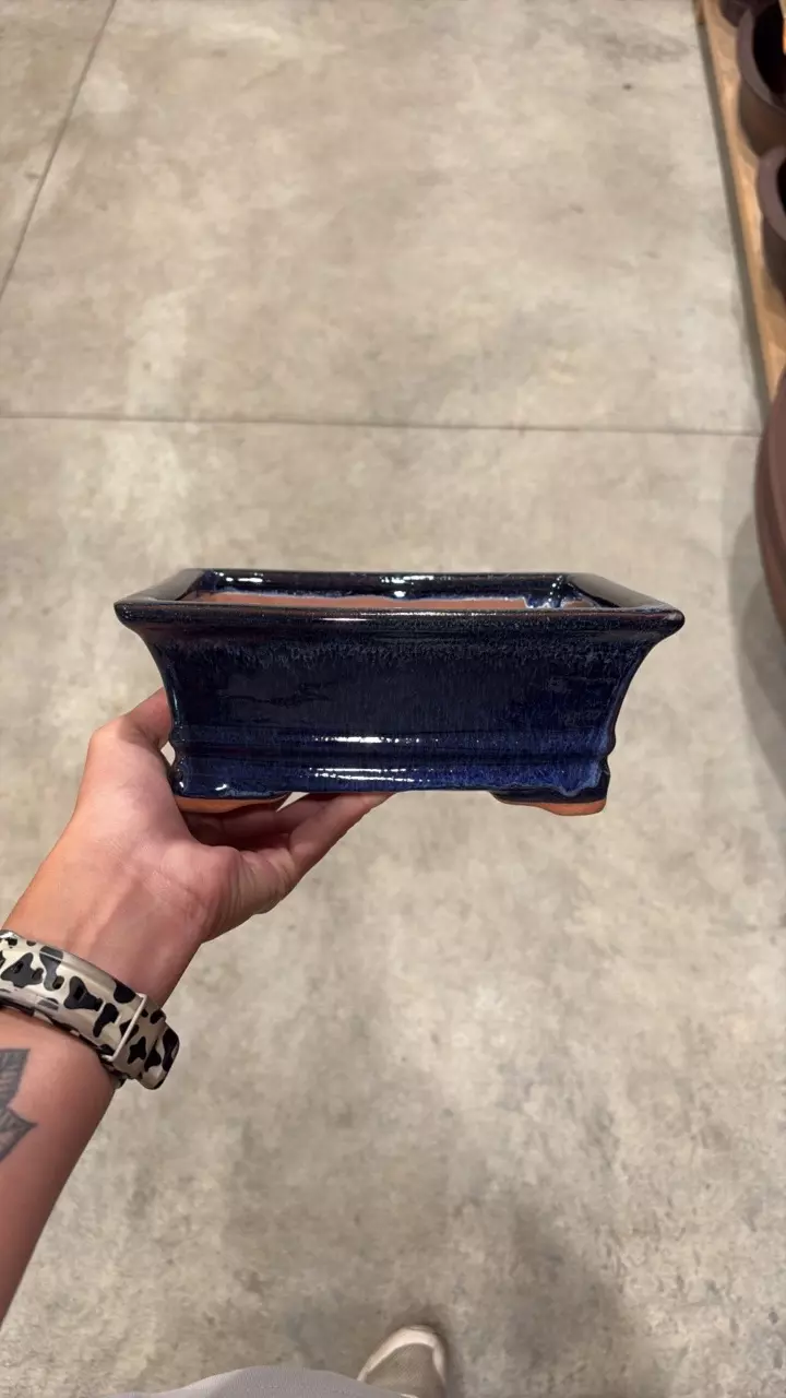 8″ – Glazed Bonsai Pots – Deeper - A thumbnail