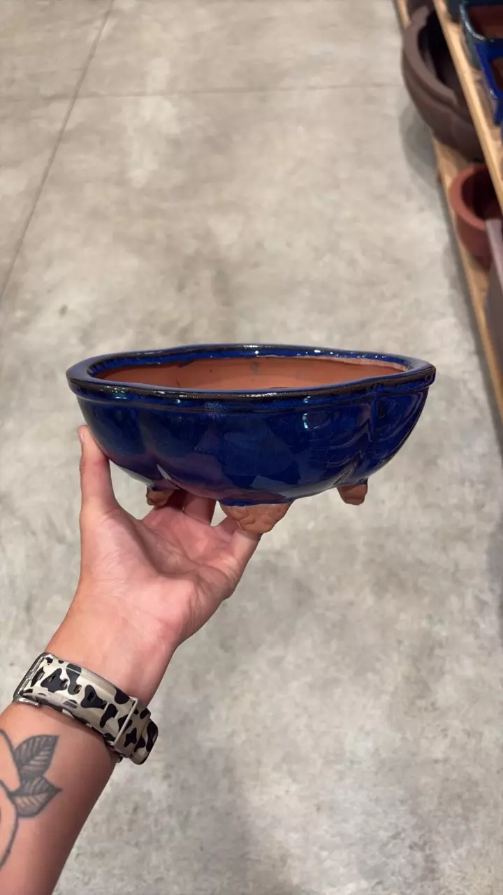 8″ – Glazed Bonsai Pots – Deeper - M thumbnail