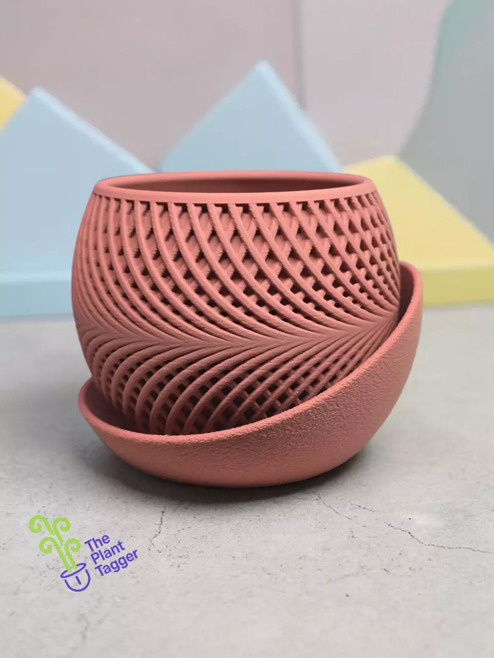 Tight Belt Rosé thumbnail