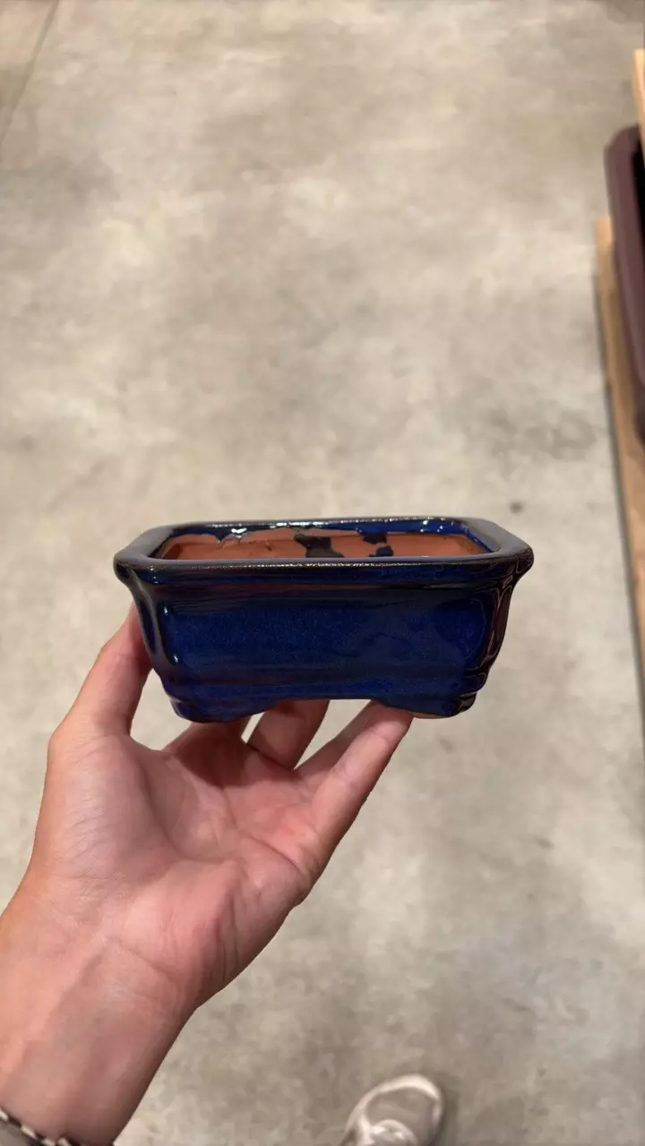 5″ – Glazed Bonsai Pots - B thumbnail