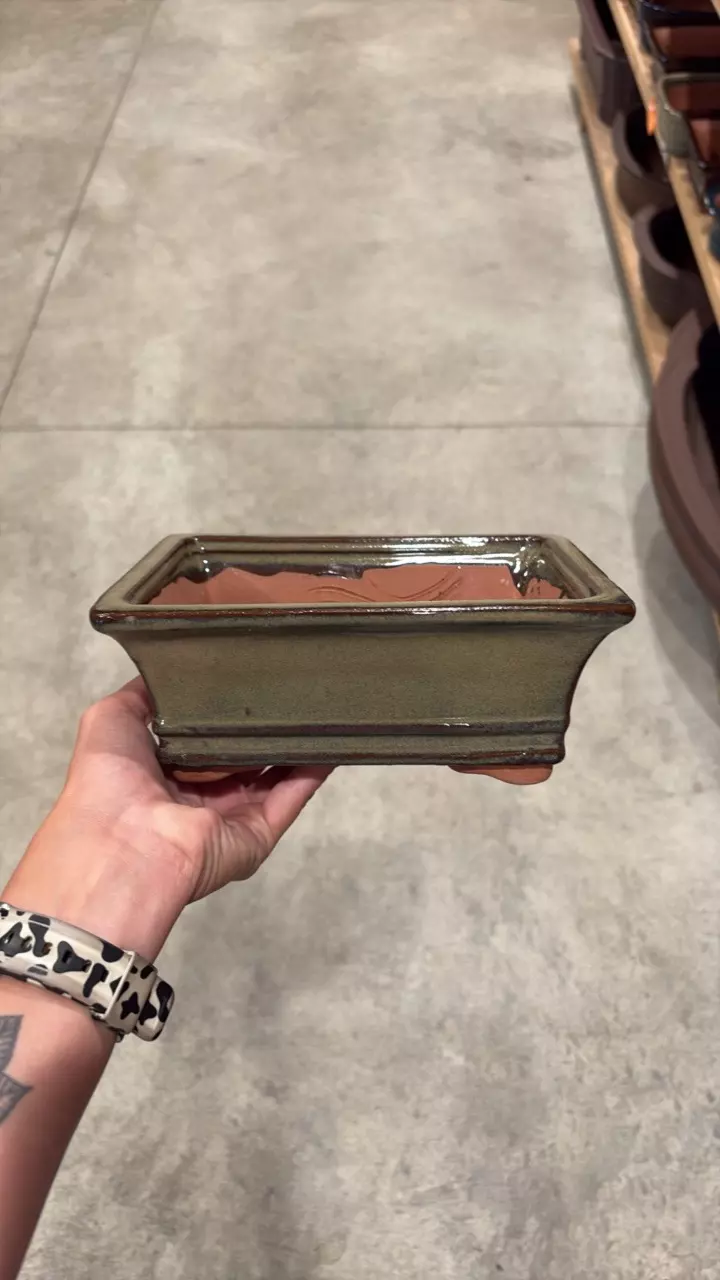 8″ – Glazed Bonsai Pots – Deeper - C thumbnail