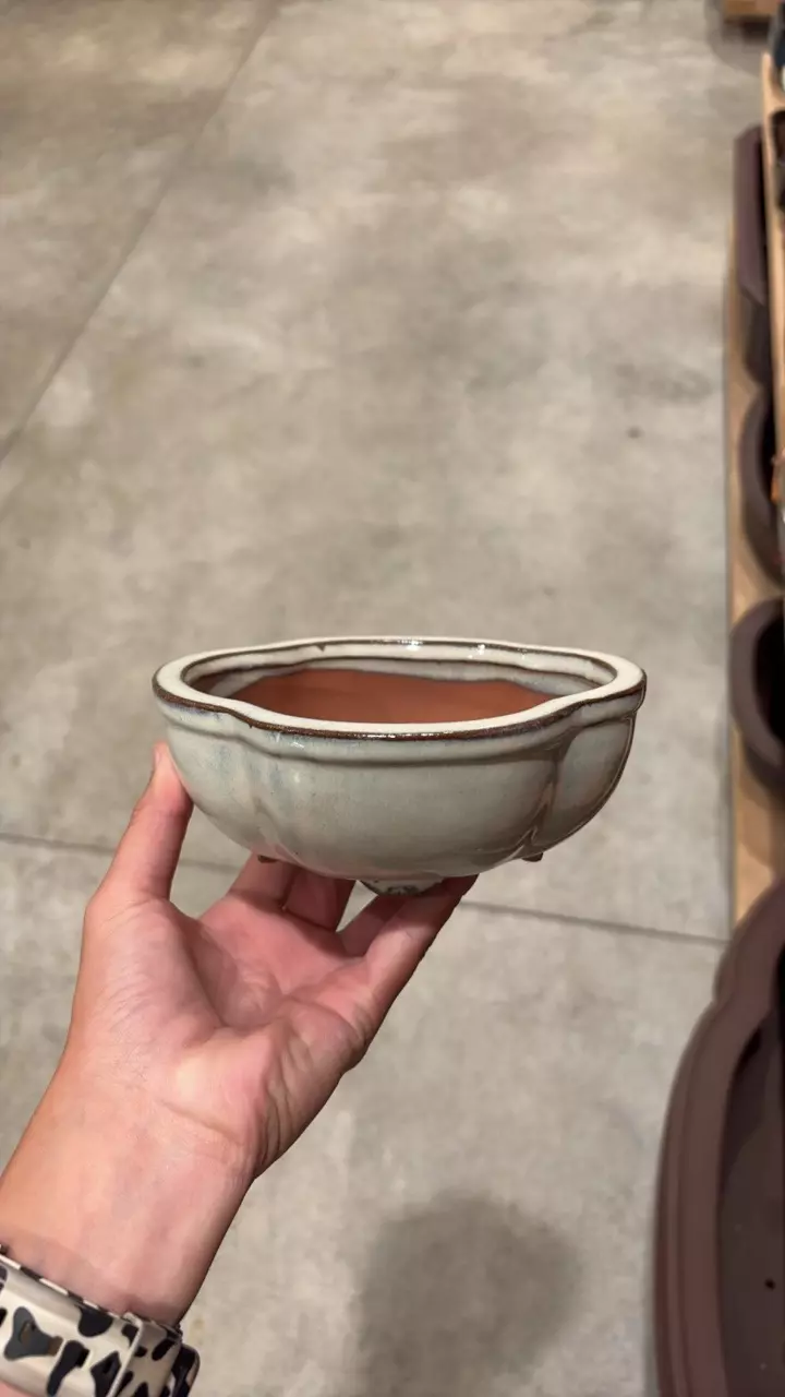 6″ – Glazed Bonsai Pots - F thumbnail