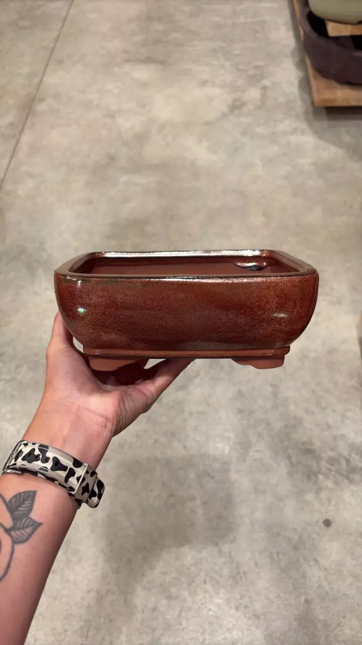 8″ – Glazed Bonsai Pots – Deeper - I thumbnail