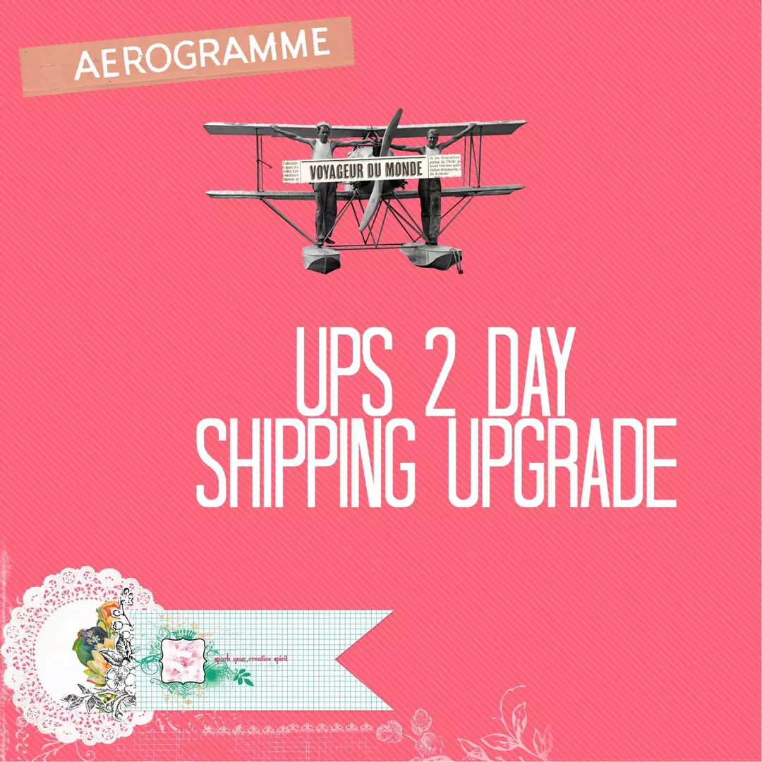 UPS Two Day Shipping Upgrade thumbnail