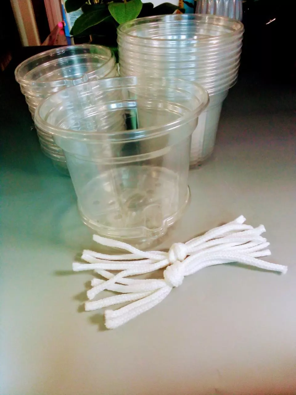 10 Clear Plastic Self Watering Pots 5 inches thumbnail