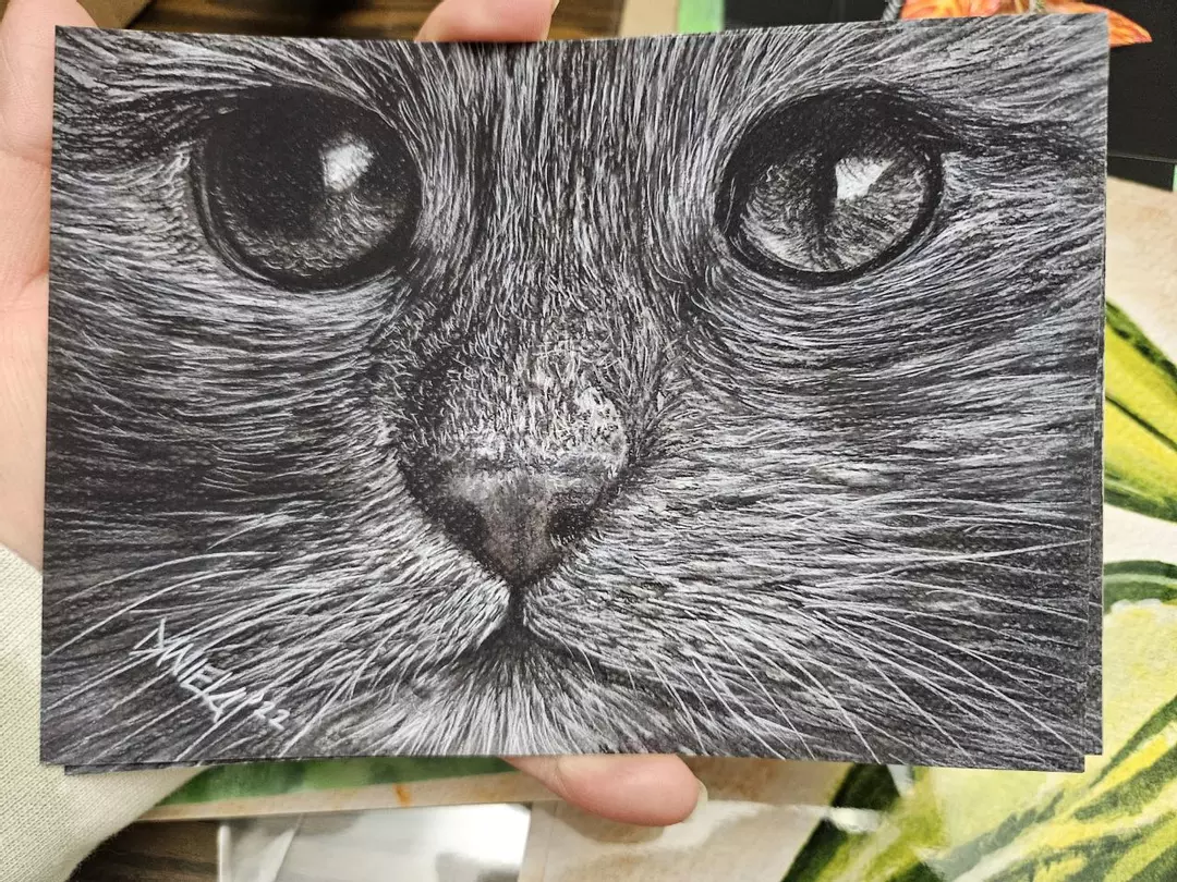 5x7 cat eyes print thumbnail
