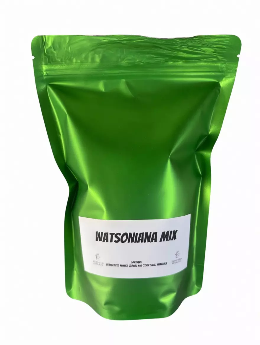 Watsoniana Substrate Blend - Quart size thumbnail