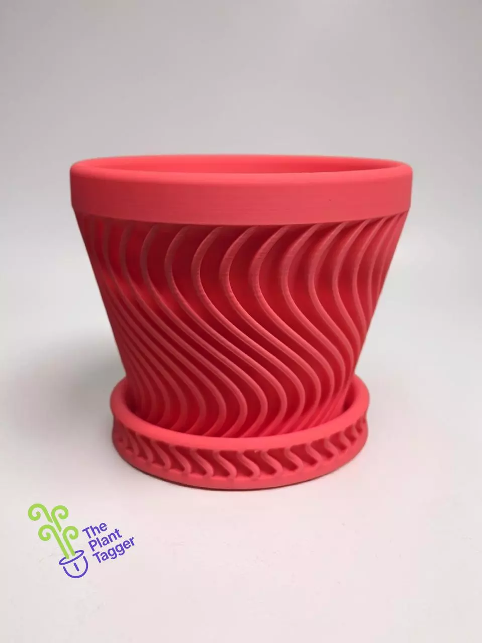 Shwavey Hot Pink thumbnail