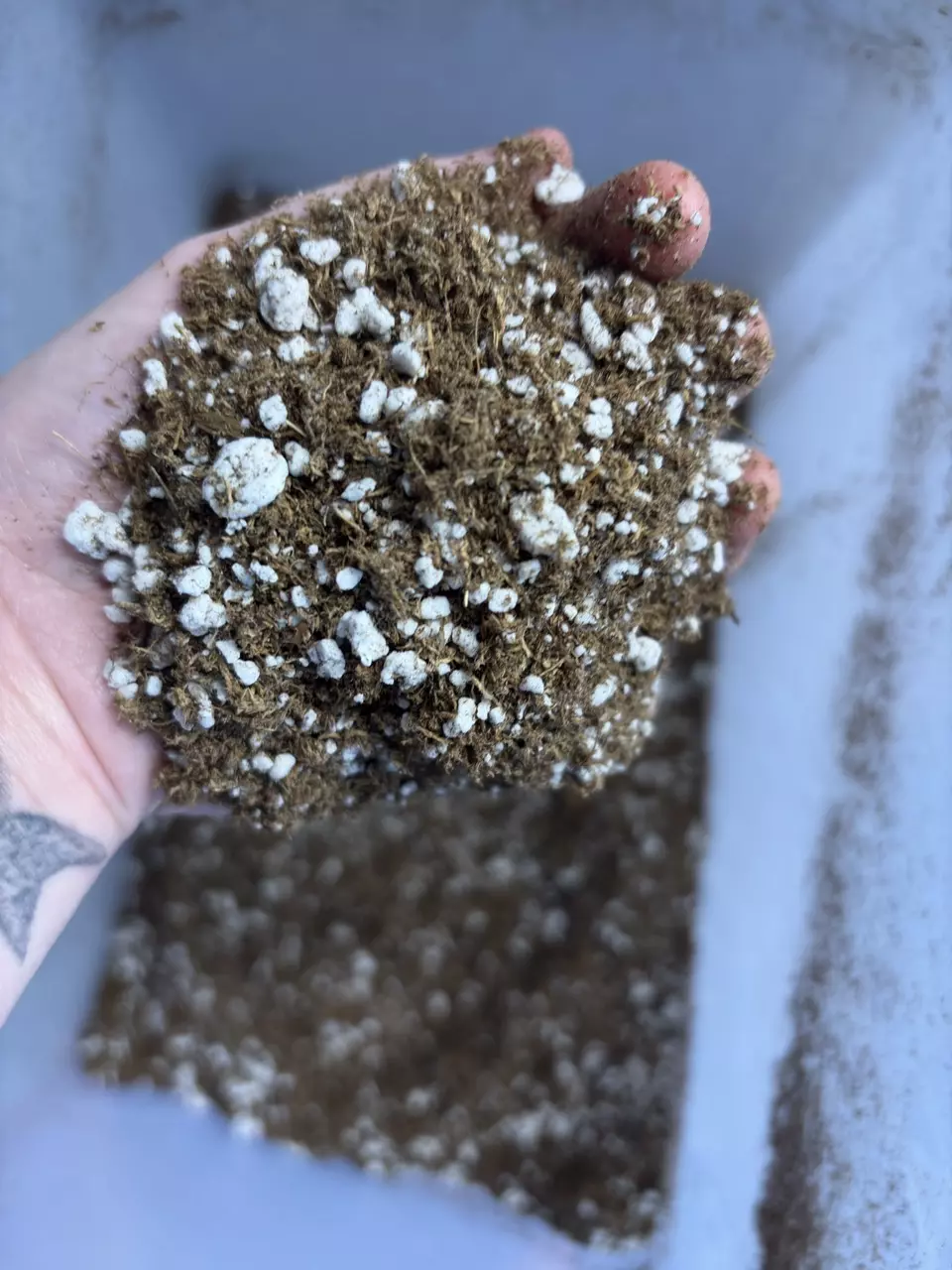 House Made Aroid TC Acclimation Mix quart size bag thumbnail