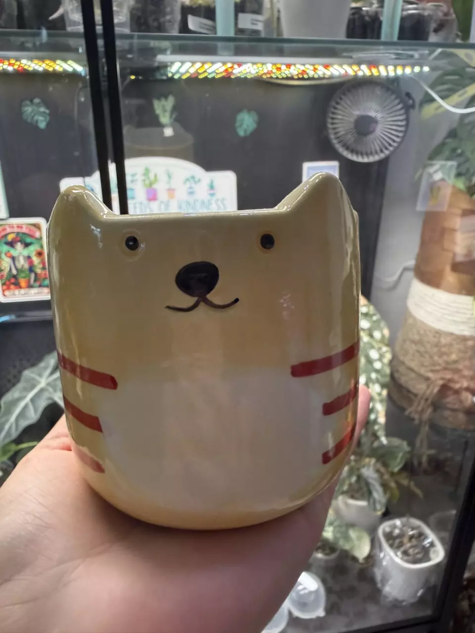 Miau pot thumbnail