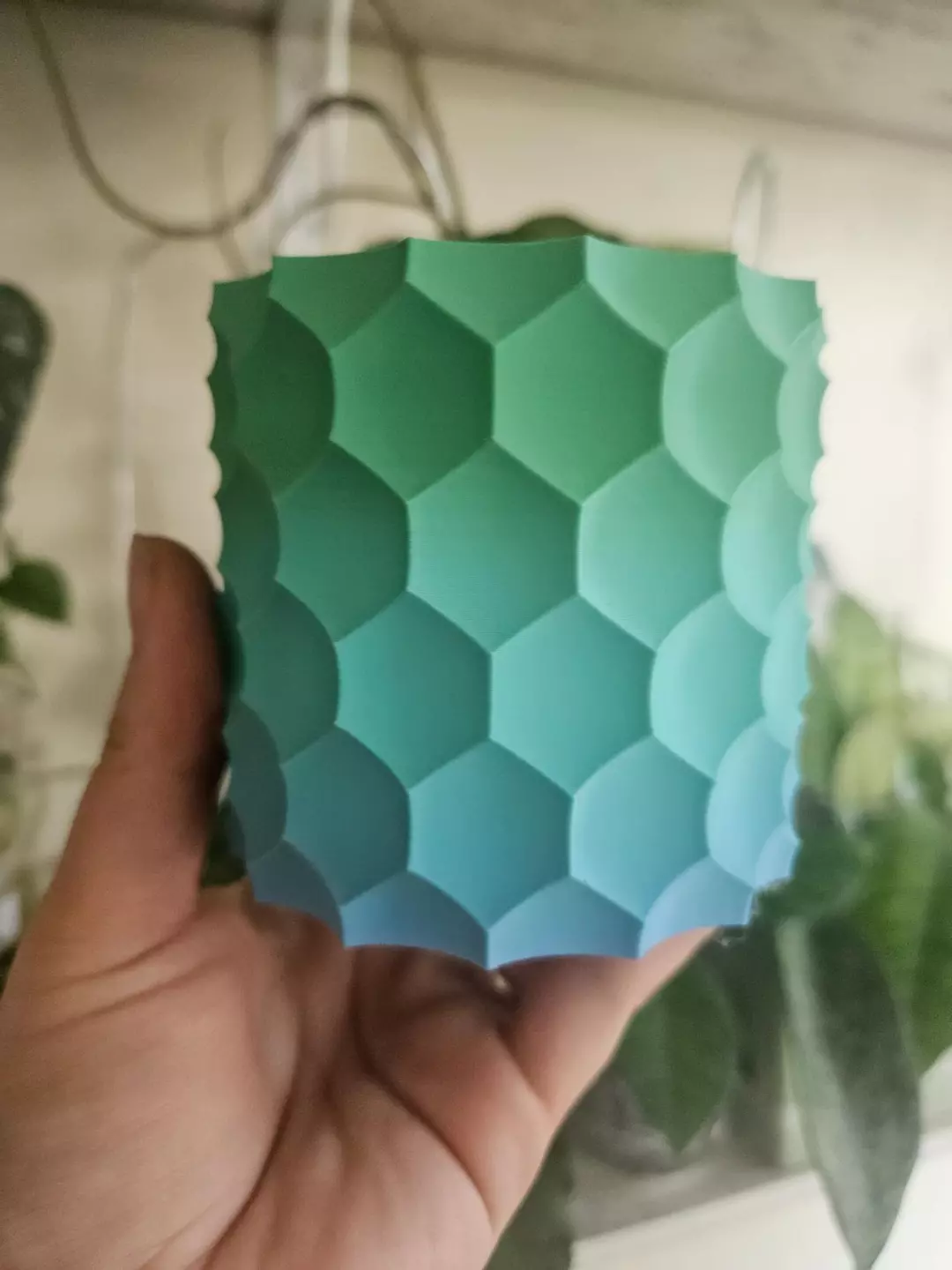 Mermaid honeycomb 3" pot thumbnail