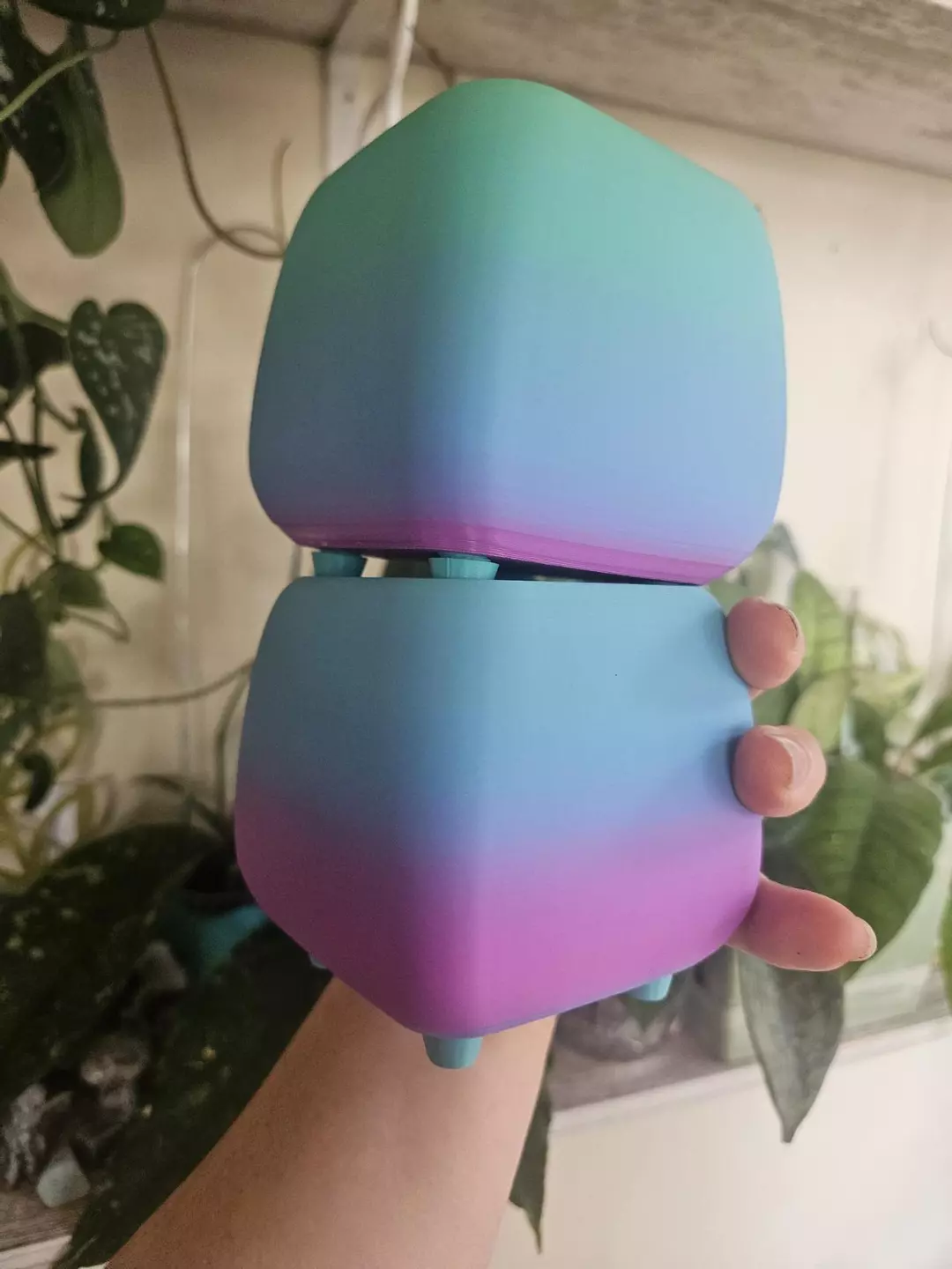 3" cache pot rainbow bundle thumbnail