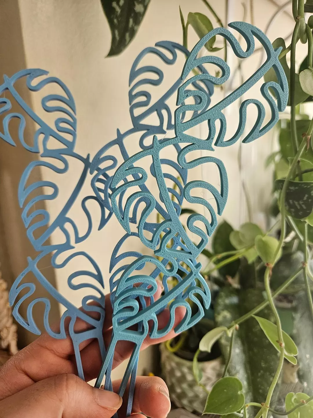Monstera trellis 3 pack thumbnail
