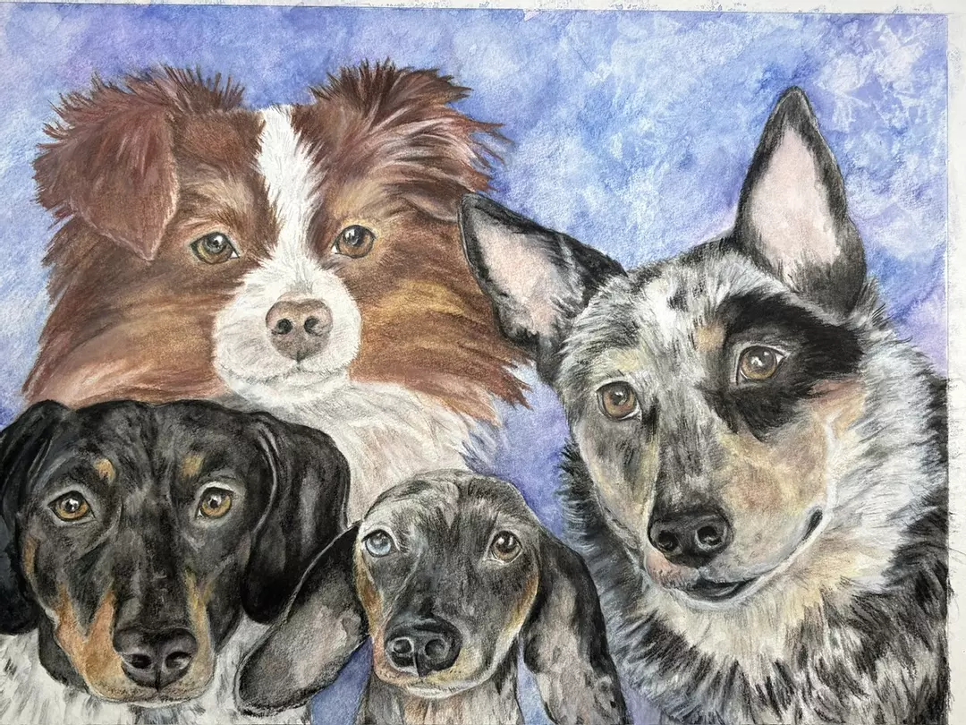 Pet Portrait 11x14 thumbnail