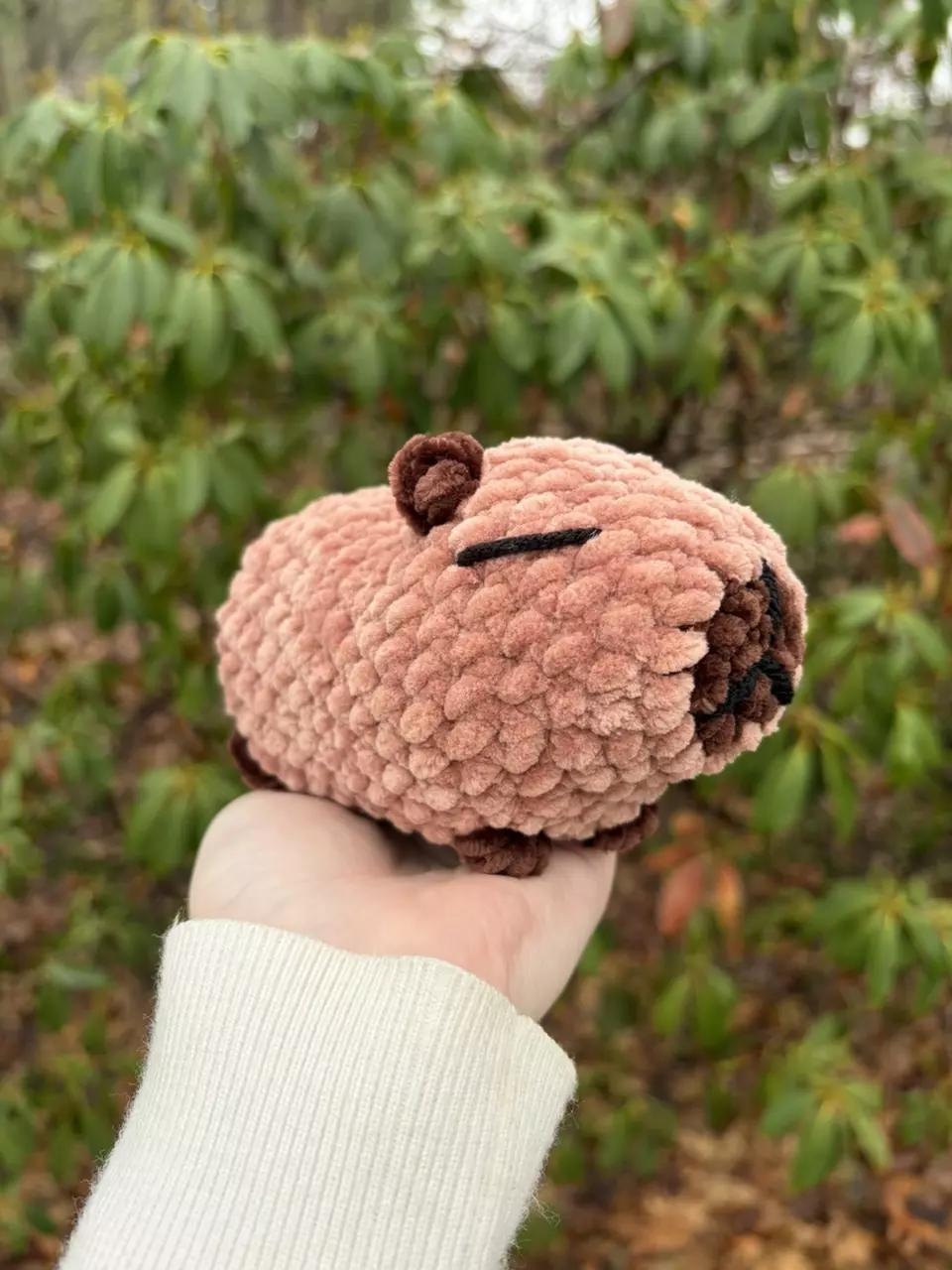 ✨Small Crochet Capybara Plushie✨ thumbnail