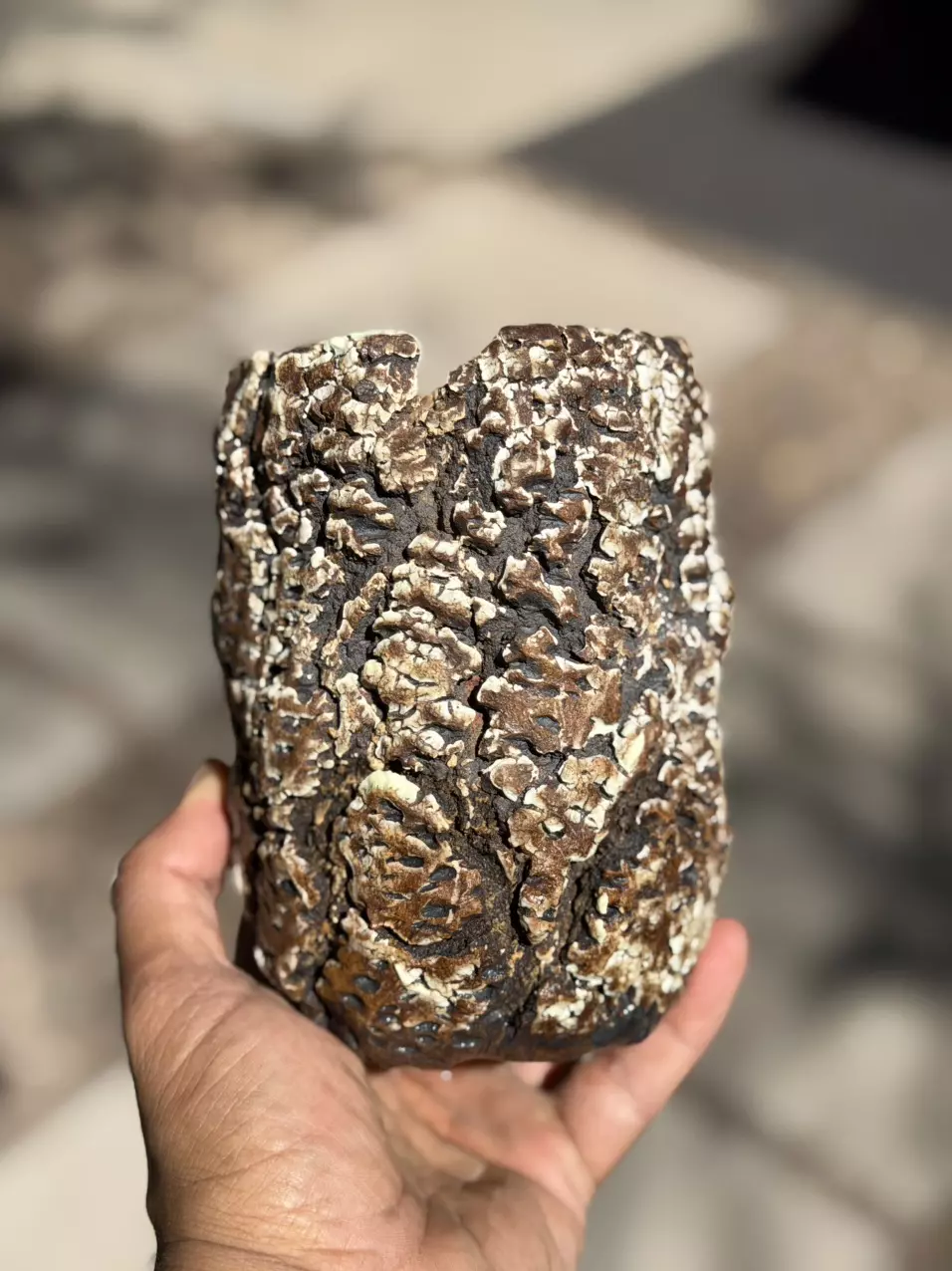 2024 Edition Burnt marshmallow 4x5.5H thumbnail