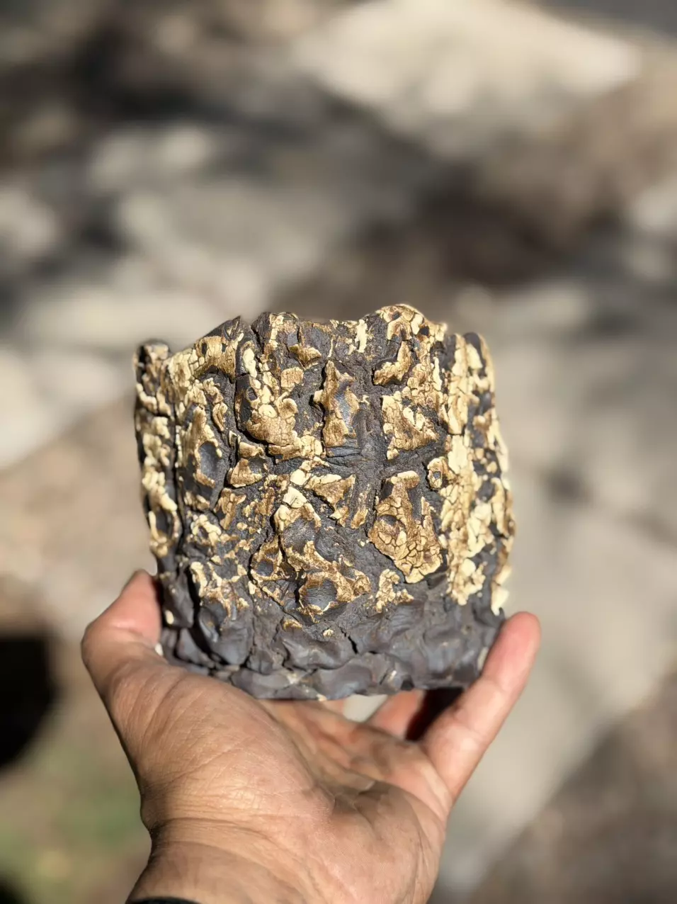 2024 Edition Golden 4.75x4.25H thumbnail