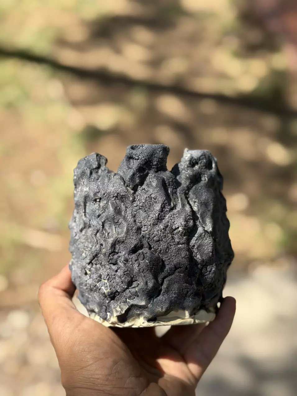 2024 edition black crackle 4x4.5H thumbnail