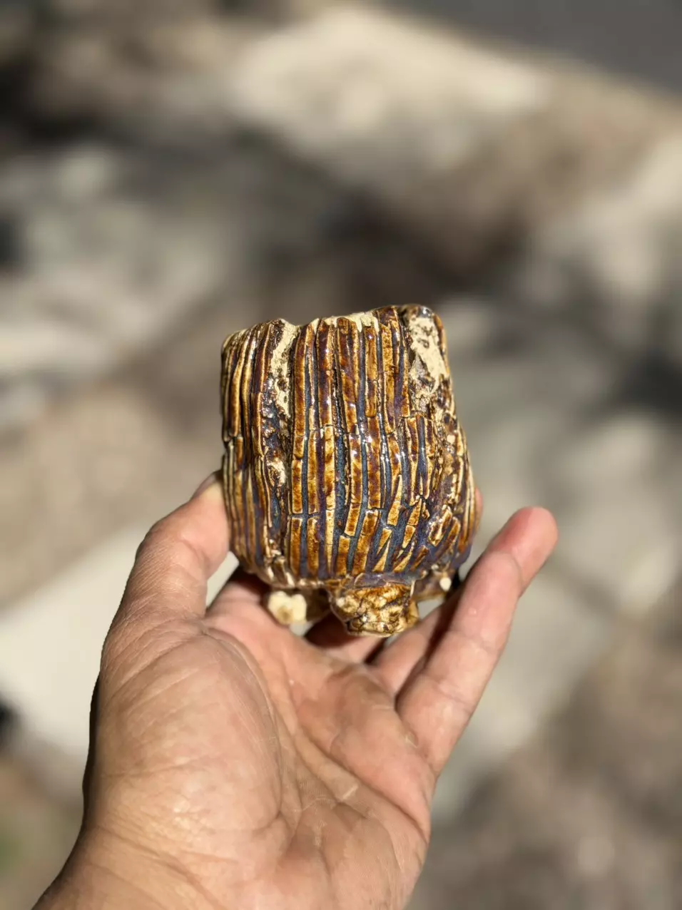 2024 Edition solar 2.5x3.25H thumbnail