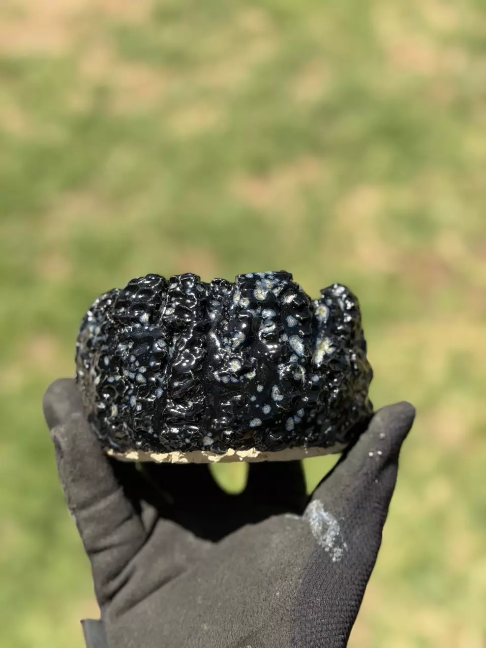 Black hole bonsai 4.75x3H thumbnail