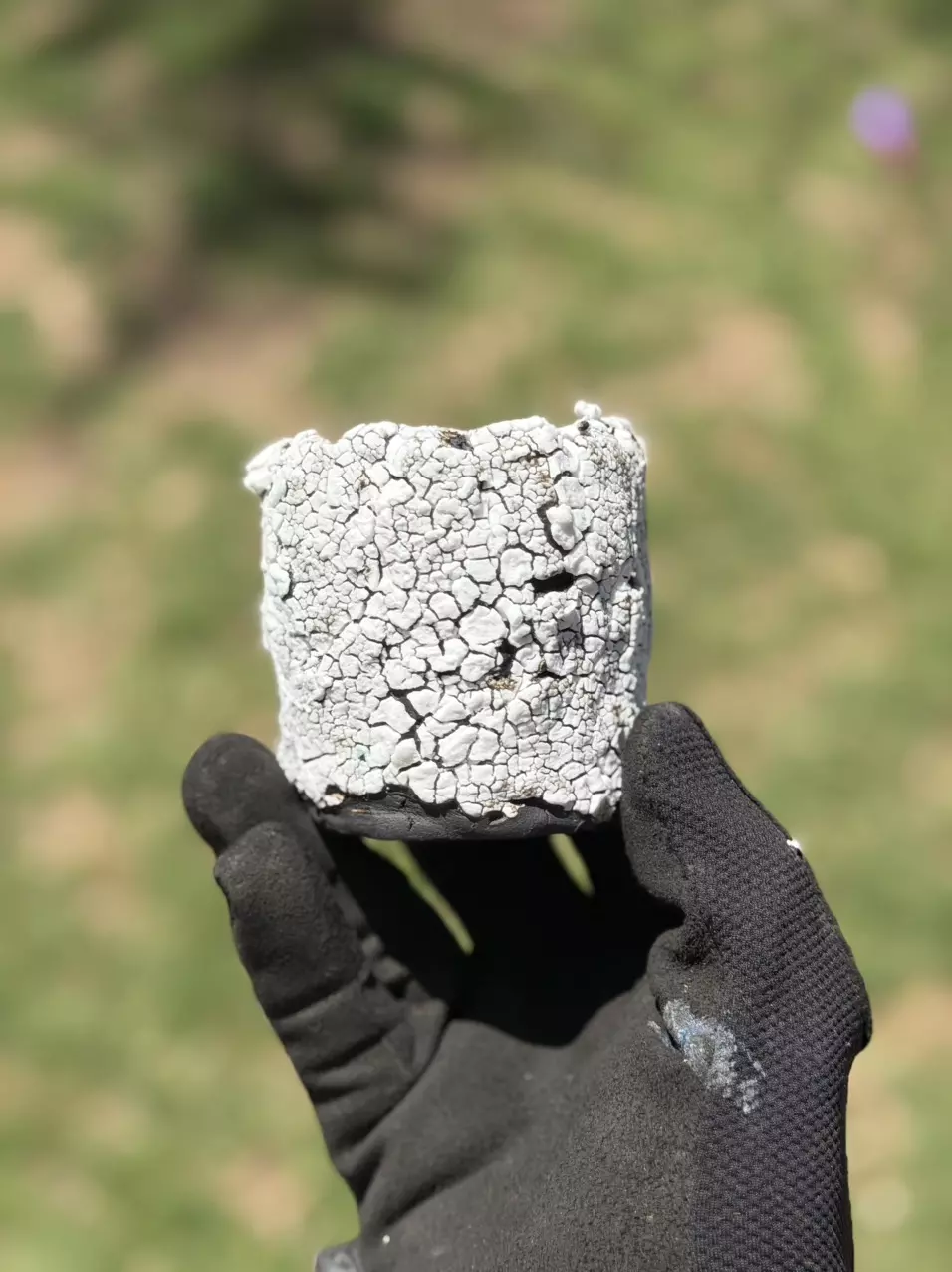 Coconut 3x3 thumbnail