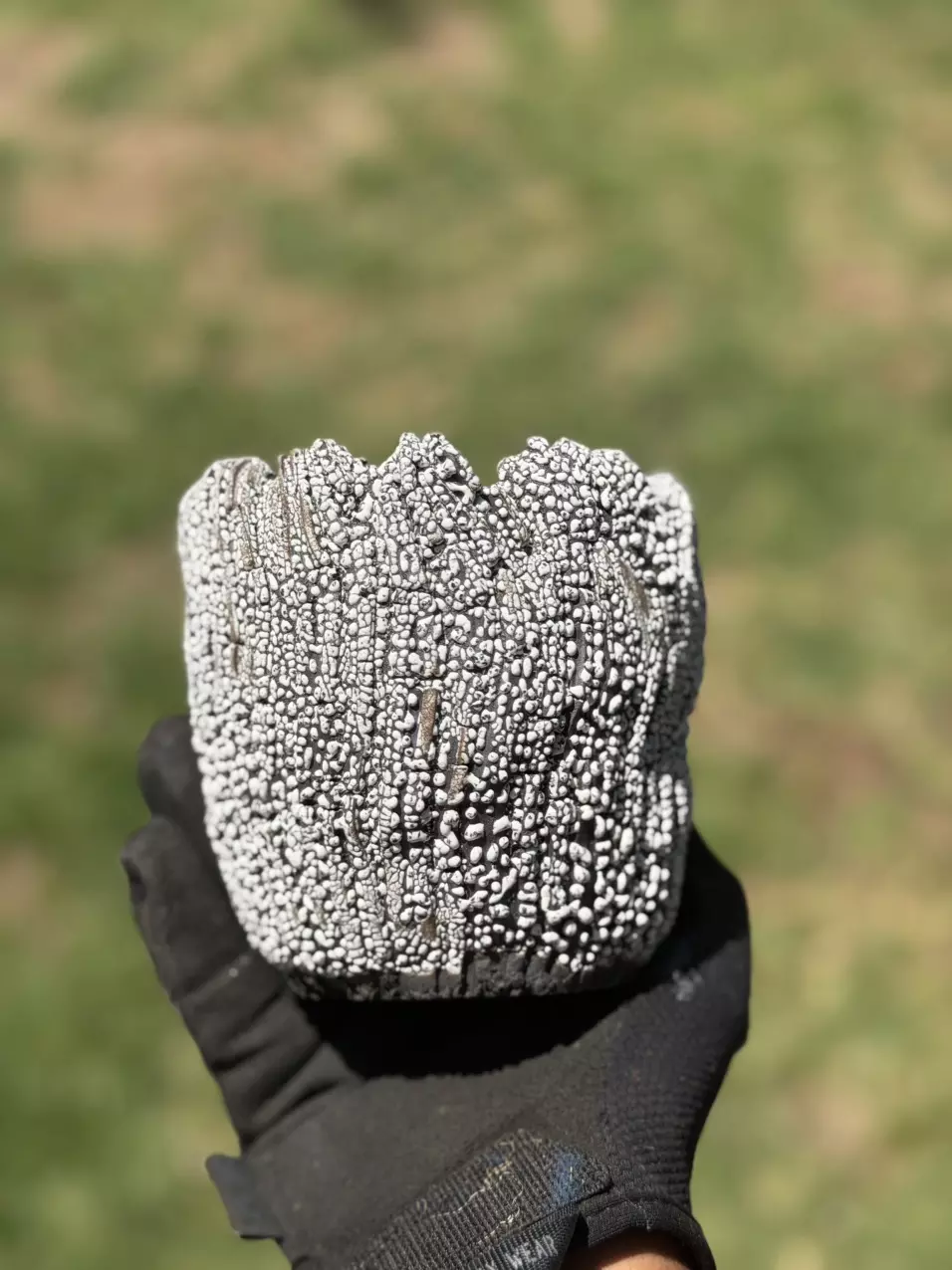 Smooth coconut 4.5x4.5 thumbnail