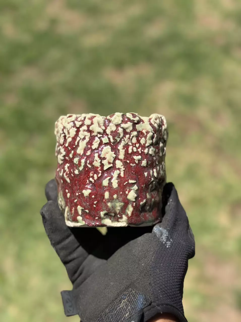 Sugar cane 4x3.75H thumbnail