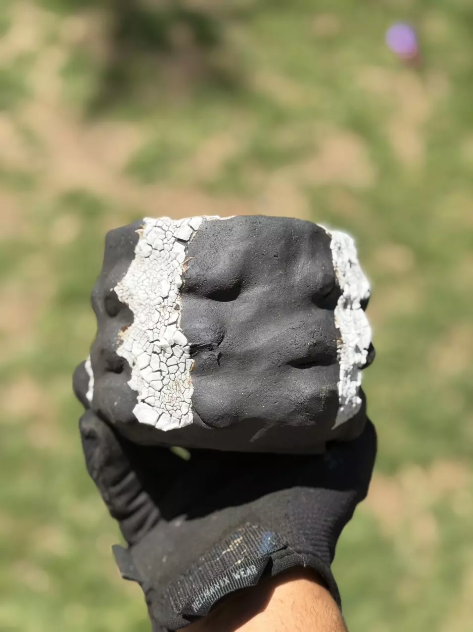 Boobie coconut 4.25x4.25 thumbnail