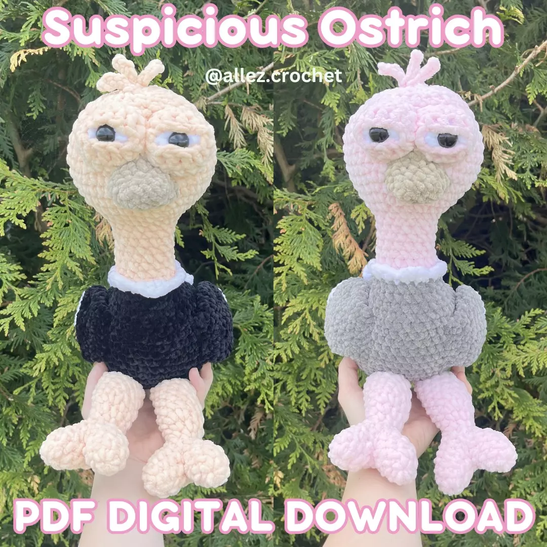 👀PDF Crochet Pattern: Suspicious Ostrich (NOT a physical product!) thumbnail