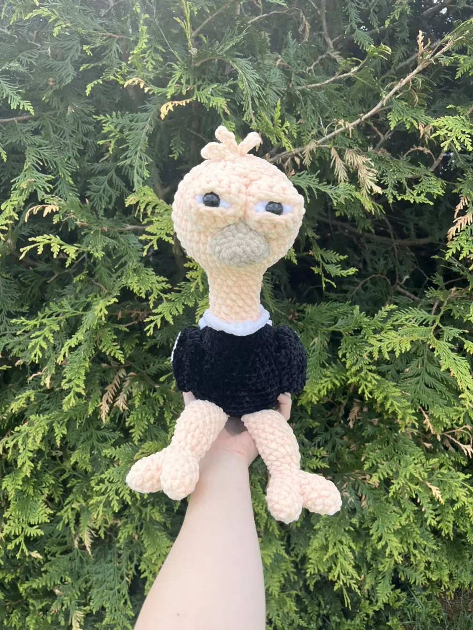👀Suspicious Ostrich (Black & Tan) thumbnail
