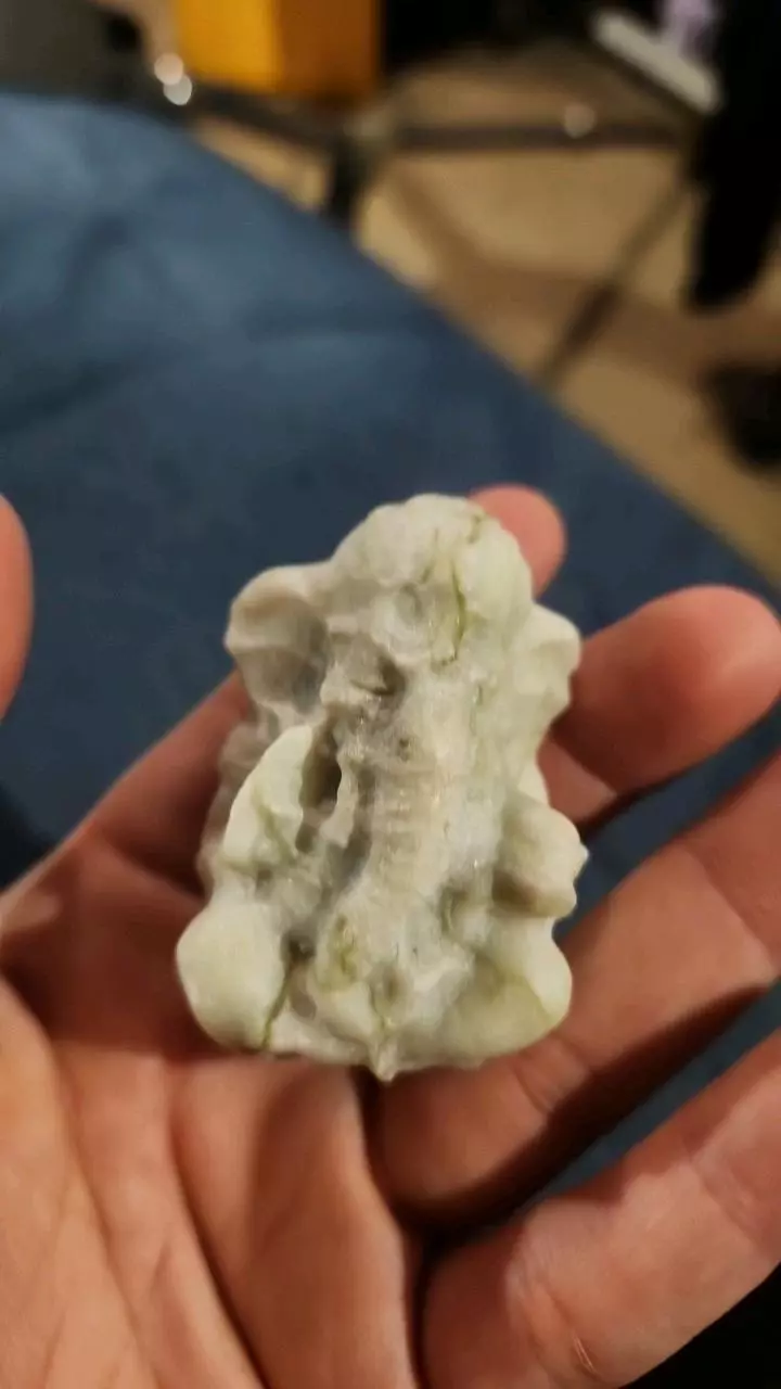 Ganesha tree agate thumbnail