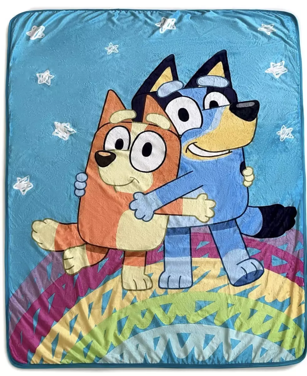 Northwest Bluey Silk Touch Sherpa Throw Blanket, 60" x 80", Togetherness thumbnail