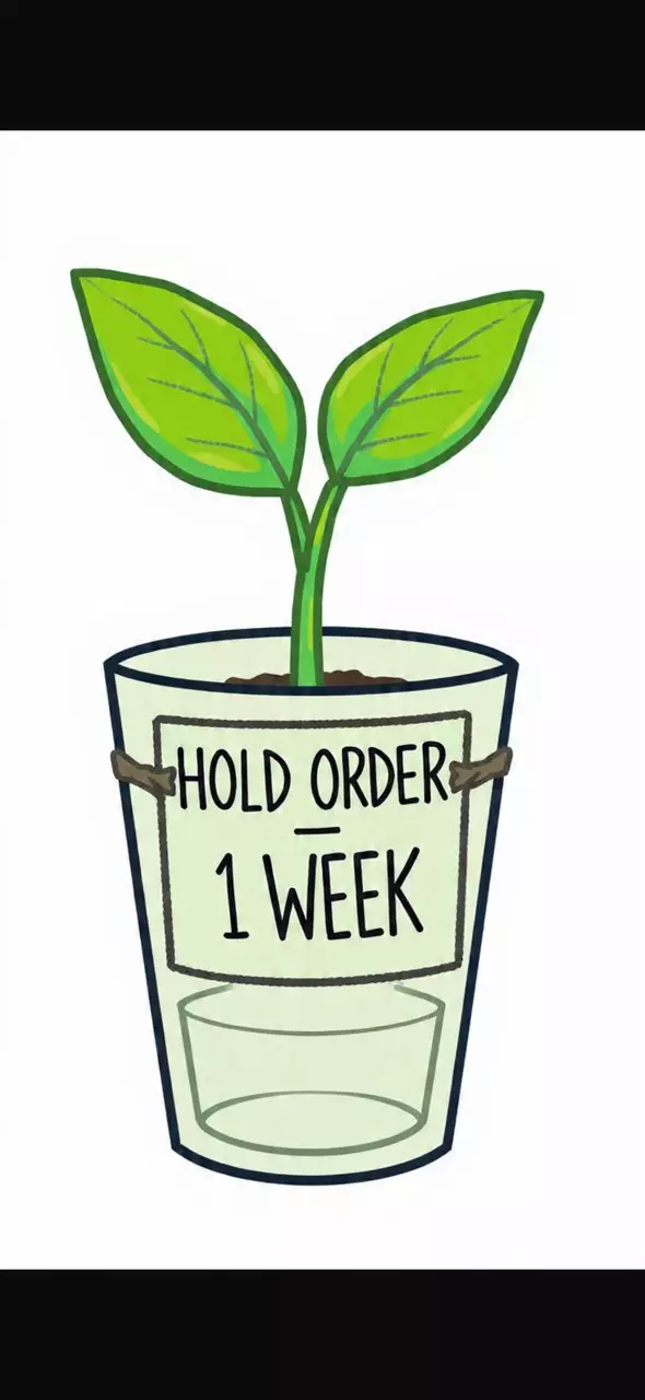 Hold order 1 week thumbnail